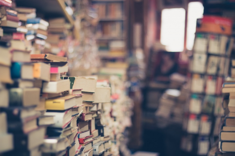 vitrine-FREJUS-min_books_stack_book_store_stack_of_books_2nd_hand_retro_hipster_shop-829090